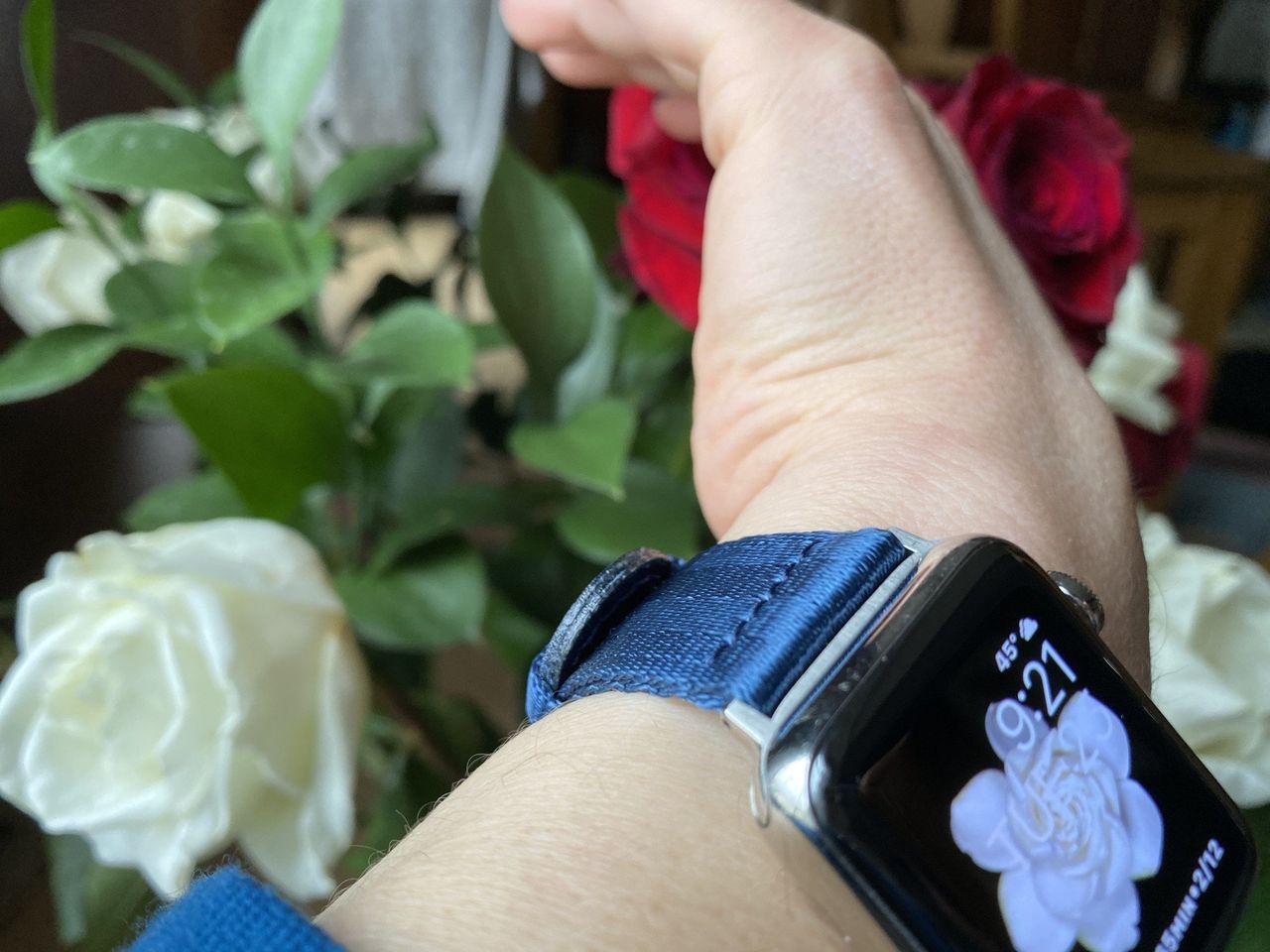Clockwork Synergy Seat Belt Nato Apple Watch Band