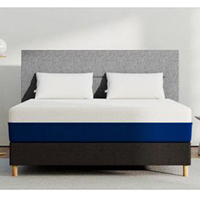 AmeriSleep mattress:  30% off any mattress and accessories