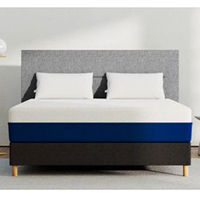 AmeriSleep mattress sale |&nbsp;30% off any mattress and accessories
AmeriSleep has a whopping 30% discount across its entire range of mattresses with code&nbsp;AS30$500