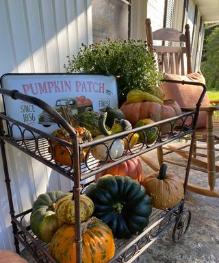 pumpkins on porch trolley