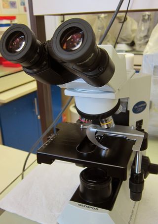 A microscope for looking at the teensy parasites that call our bodies home.