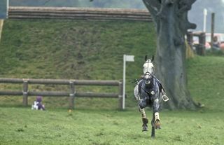 memories of badminton horse trials