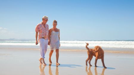 A retired couple of about 60 years old walks on the beach with their dog.
