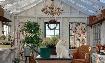 Inside a wooden potting shed with white cat on table and wicker chair in background
