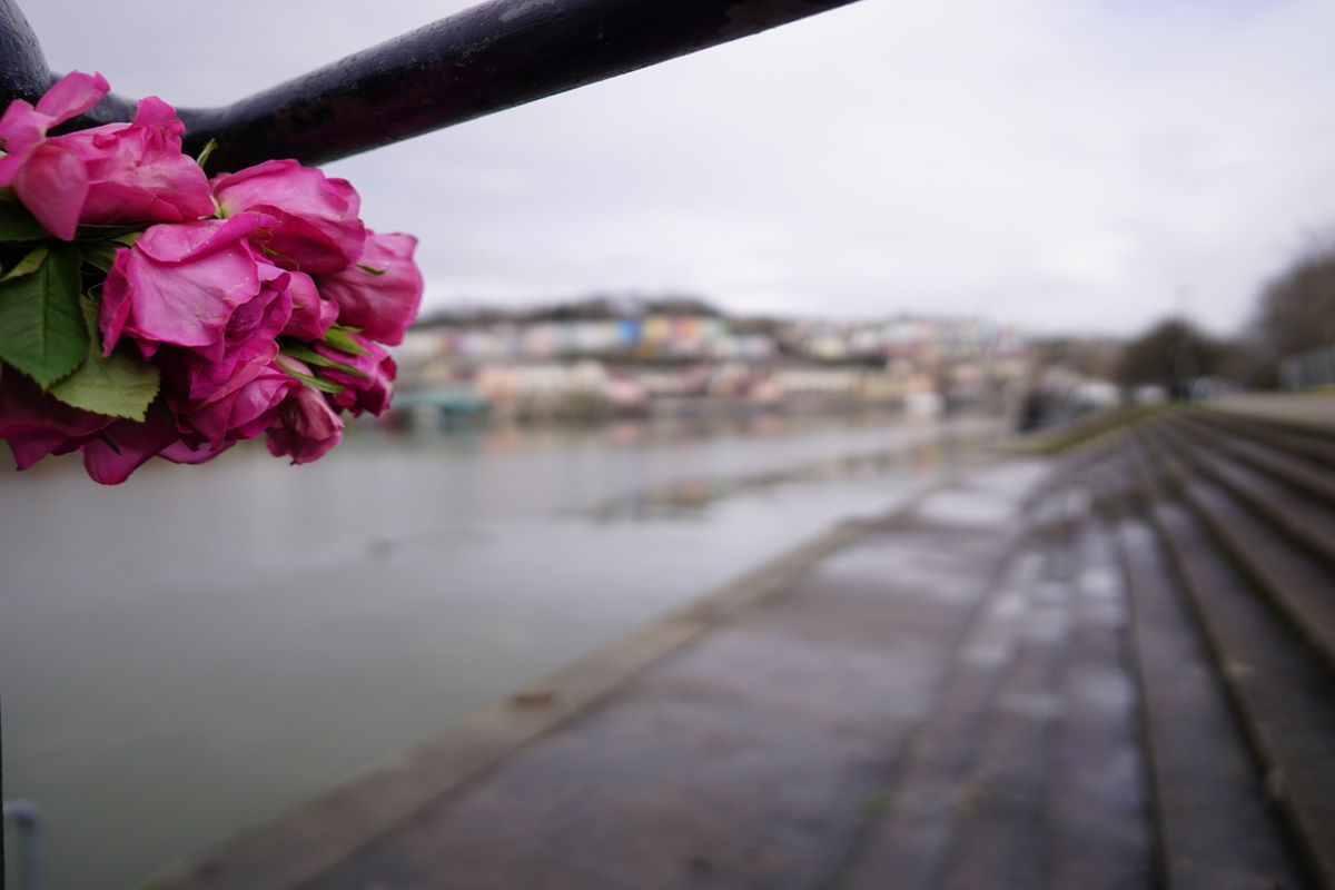 Sigma 15mm f/1.4 DC | C sample image