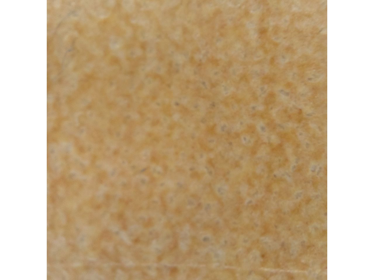 Oppo Find X3 Pro camera sample