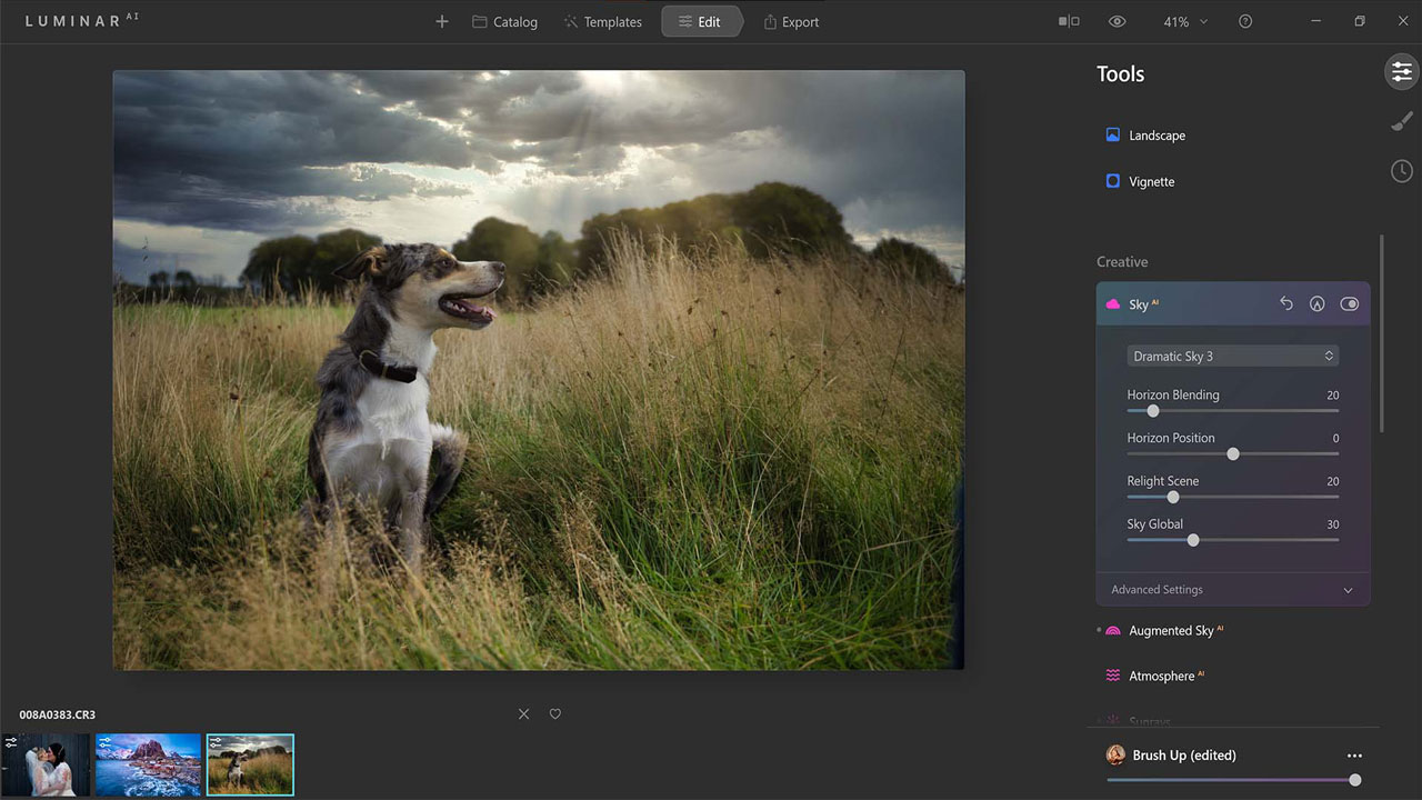 Luminar AI review: image shows image editing software