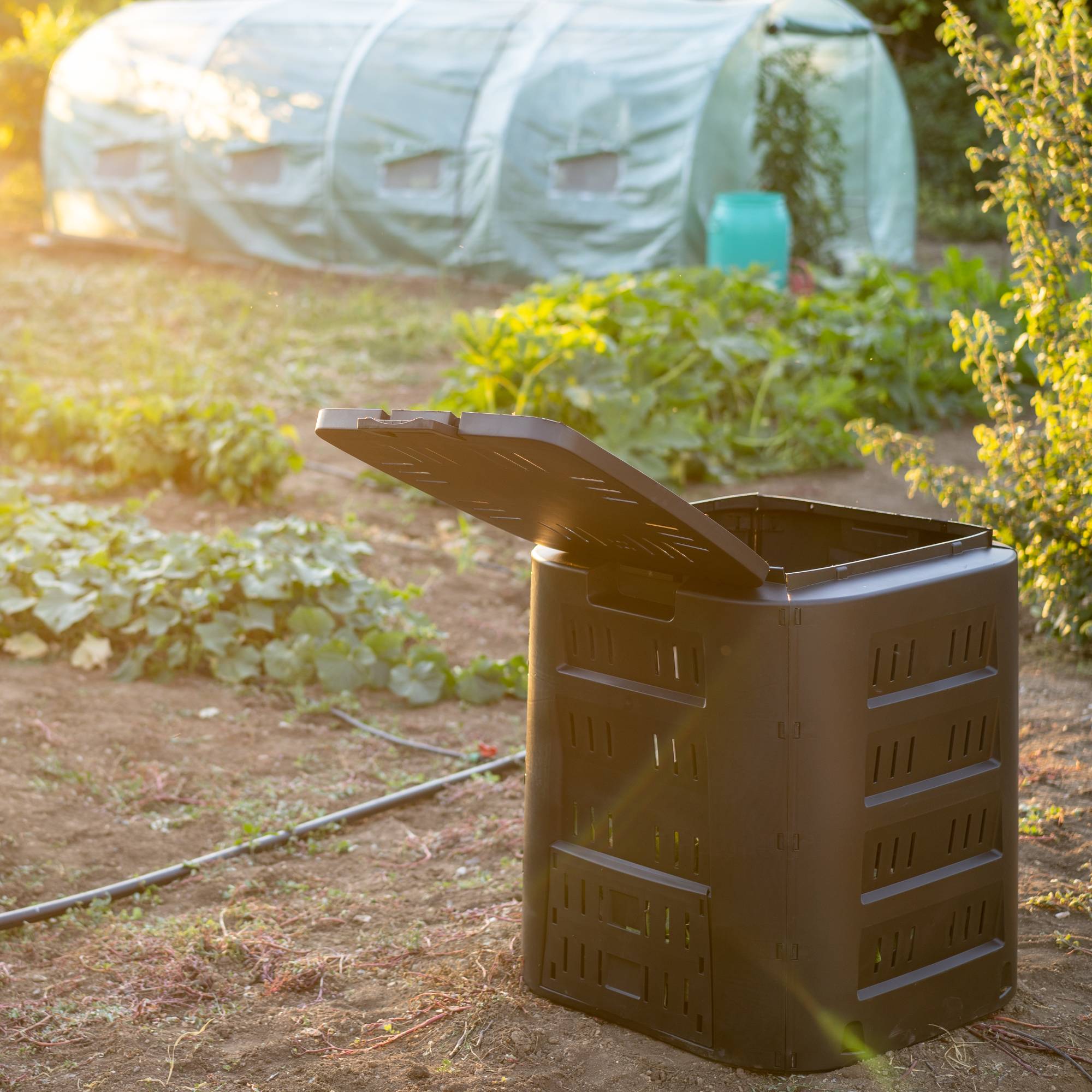 Compost bin in garden