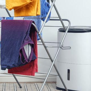 Do dehumidifiers dry clothes?