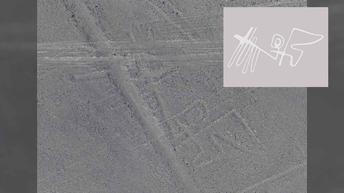 AI Identifies 3 More 'Nazca Lines' Figures In Peru | Live Science