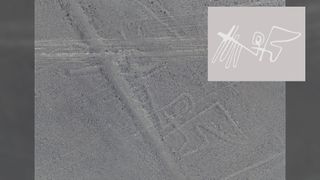 Here we see a Nazca line in gray of a bird, with its wings spread out wide.