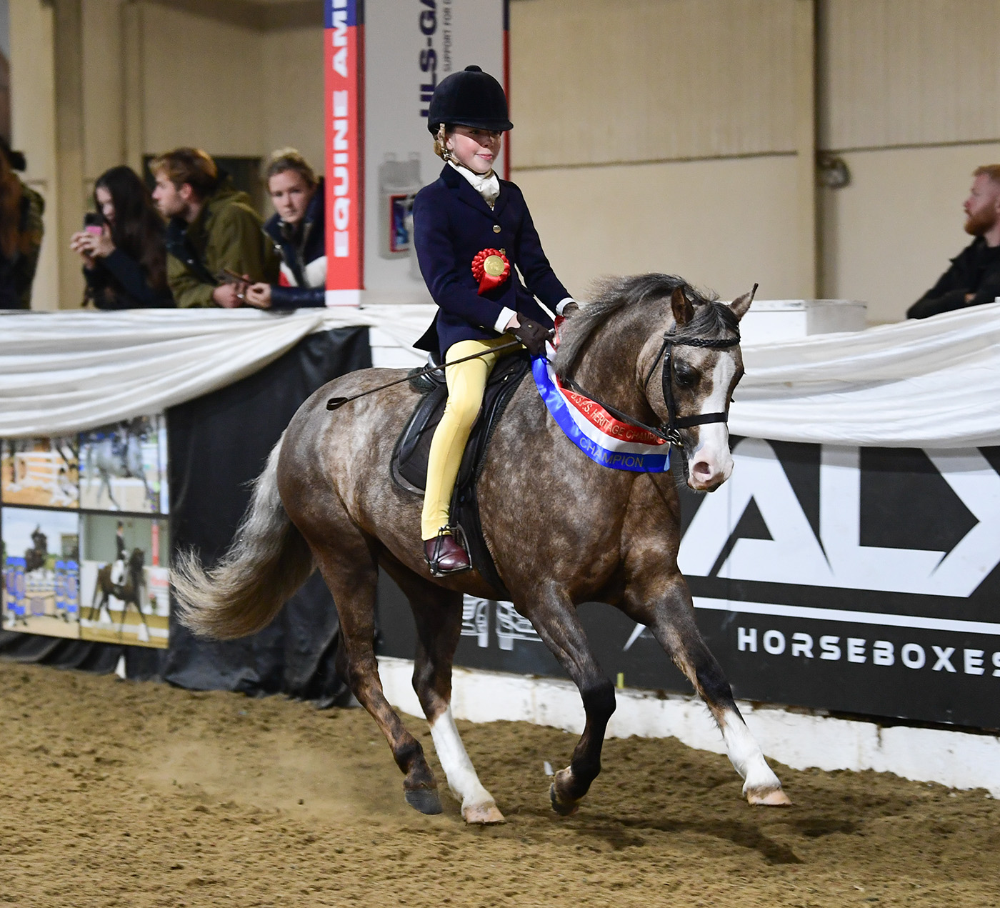 Nov. Mini WHP Champ. No. 305 Cadlan Valley Royal Bronze