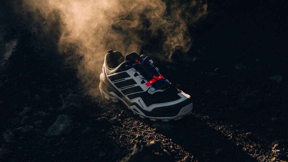 The Adidas Terrex Skychaser GTX shoes on the trail