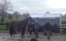 William Fox-Pitt and Bay My Hero at the final horse inspection at Rolex Kentucky 2015