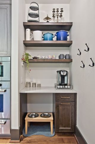 kitchen with open shelving, countertop, dog feeding station