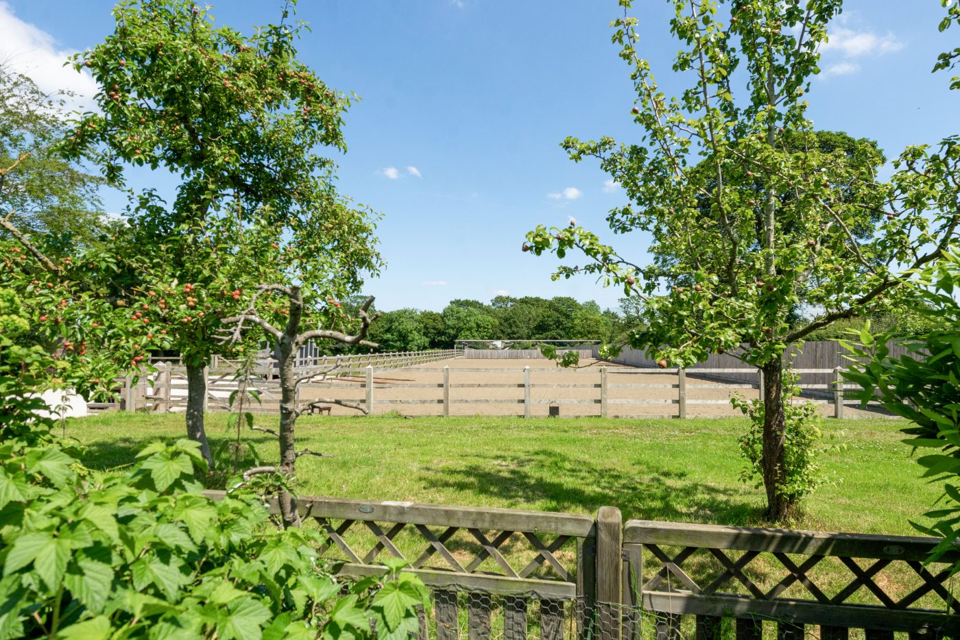 Tanyard-Farm-fpz237127-6-e1573127968931.jpg