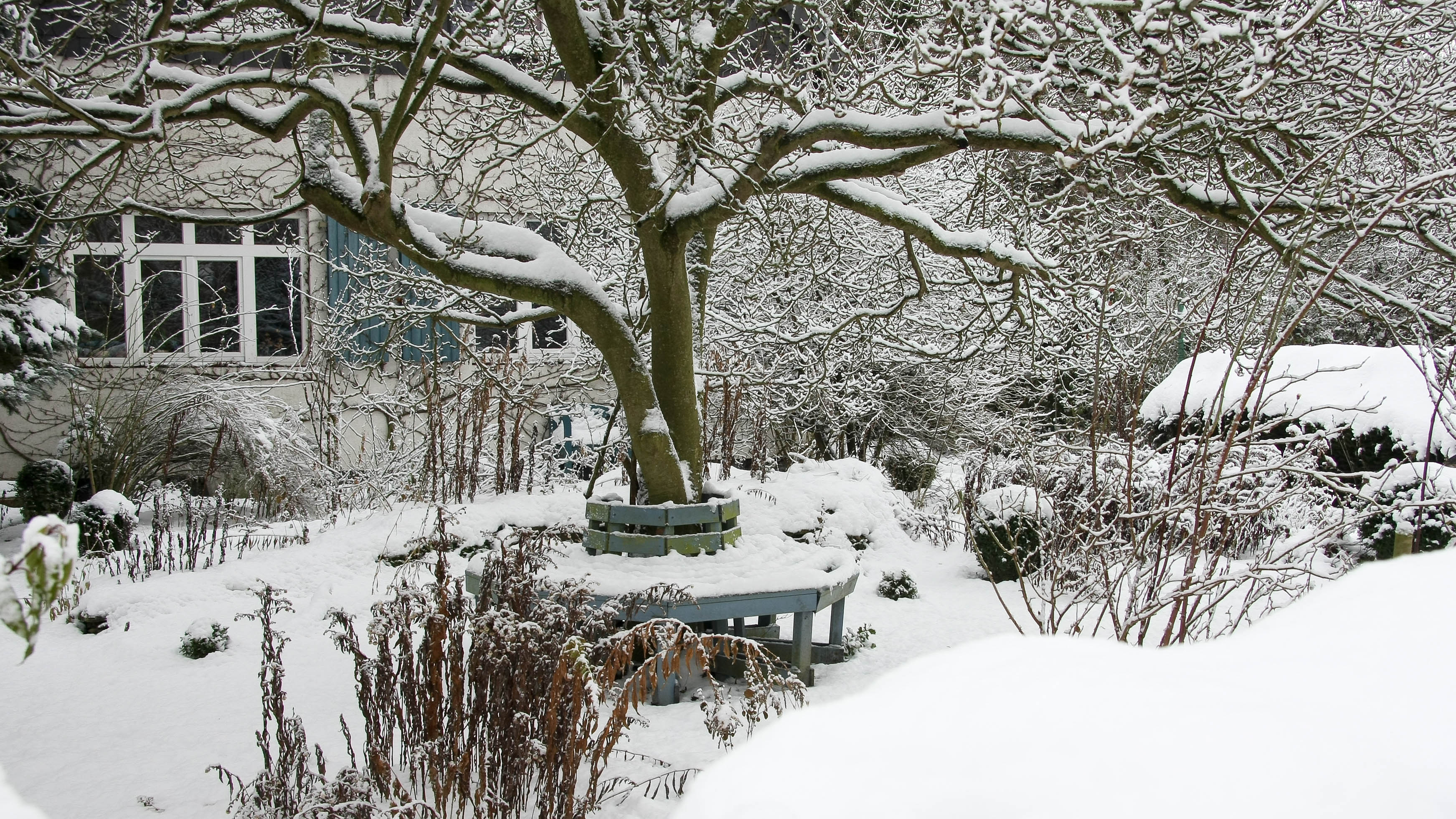 What to do after it snows in your garden — top tips to help plants survive  | Toms Guide