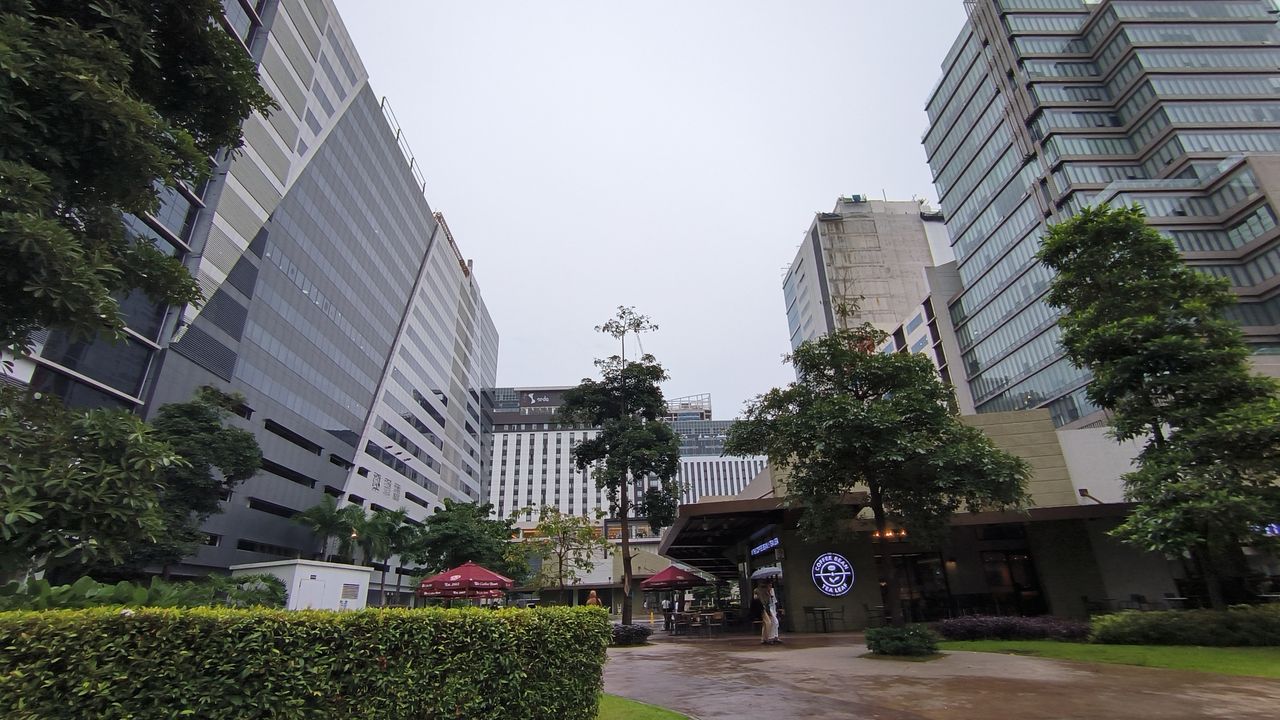 Daytime shot of buildings with a park in the middle