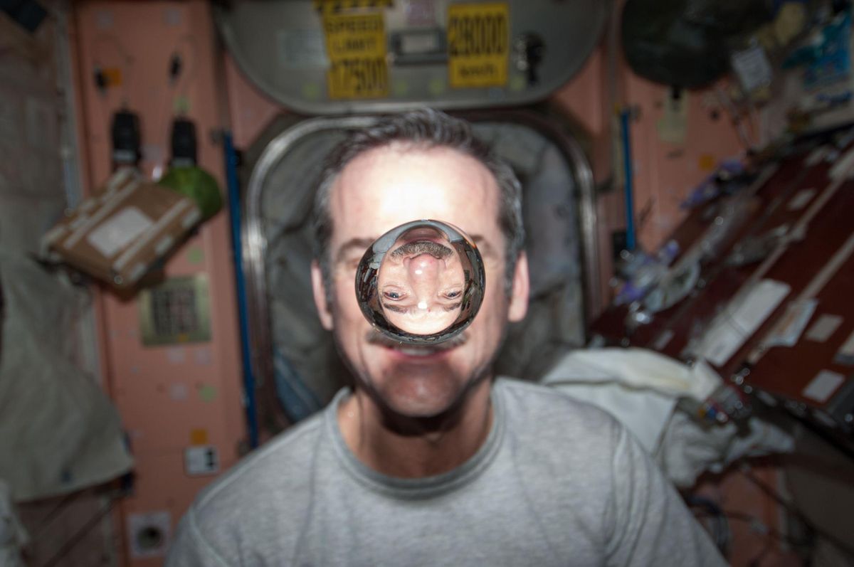 Chris Hadfield watches a water droplet float in zero gravity