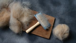 Dog brush and fur