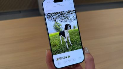 Apple Intelligence Photo Tools Hands On at WWDC 2026