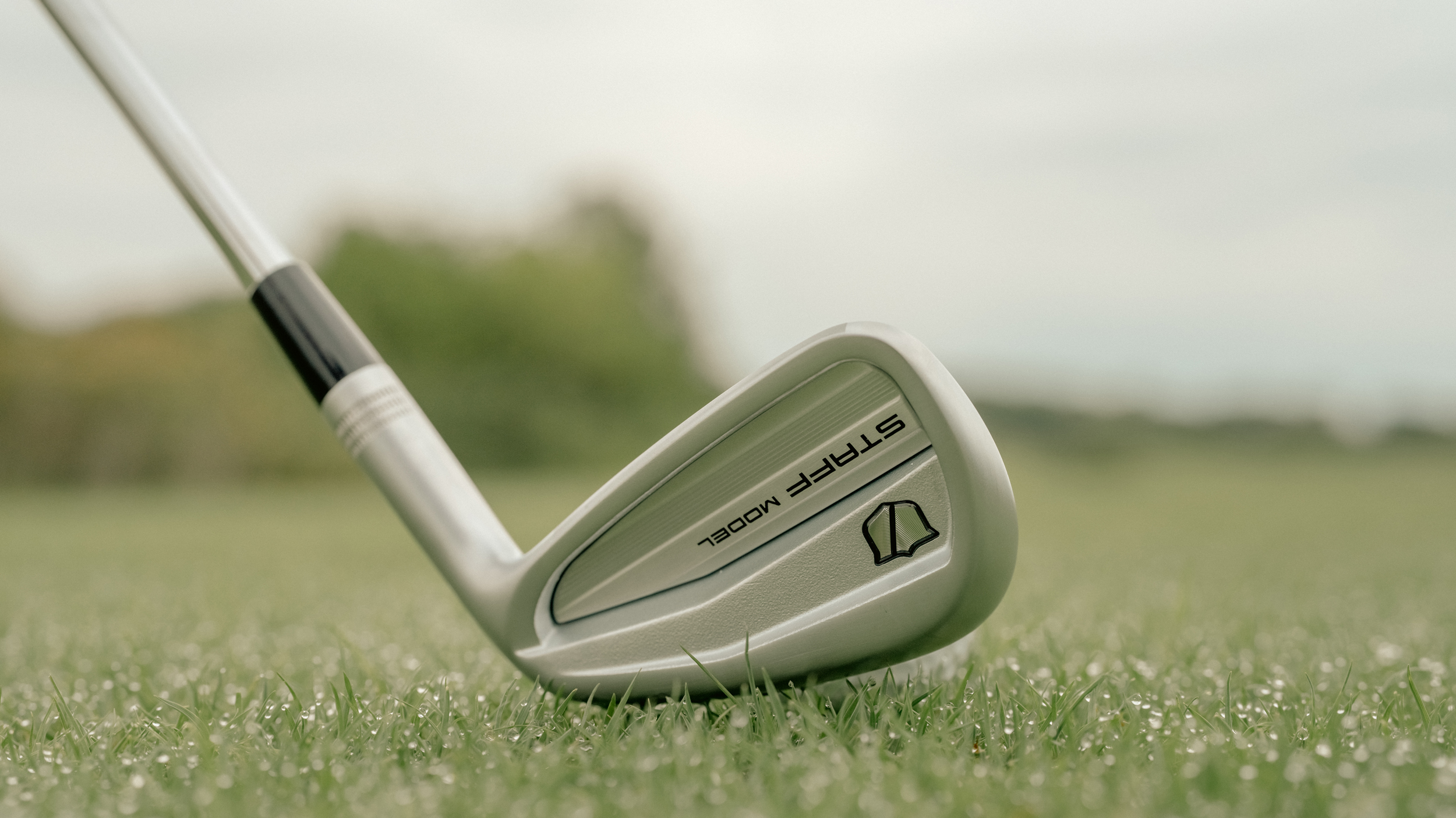 Wilson Staff Model CB iron 2026