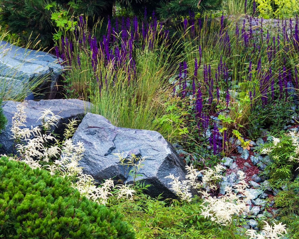 Rock garden ideas – 10 stylish looks with a modern edge | Livingetc