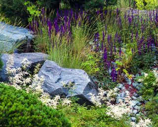 border with rocks and planting