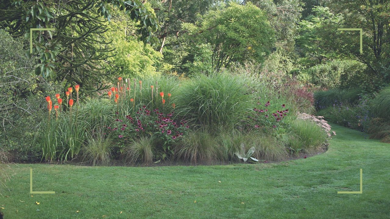 Garden with a flower border with a healthy green lawn, used to support expert advice for when to first cut grass after winter