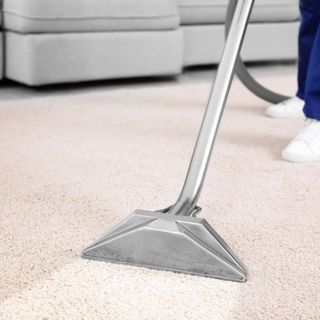 Carpet cleaner cleaning capet