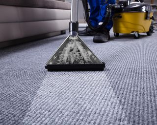 A textured caroet being cleaner with a professional carpet cleaner