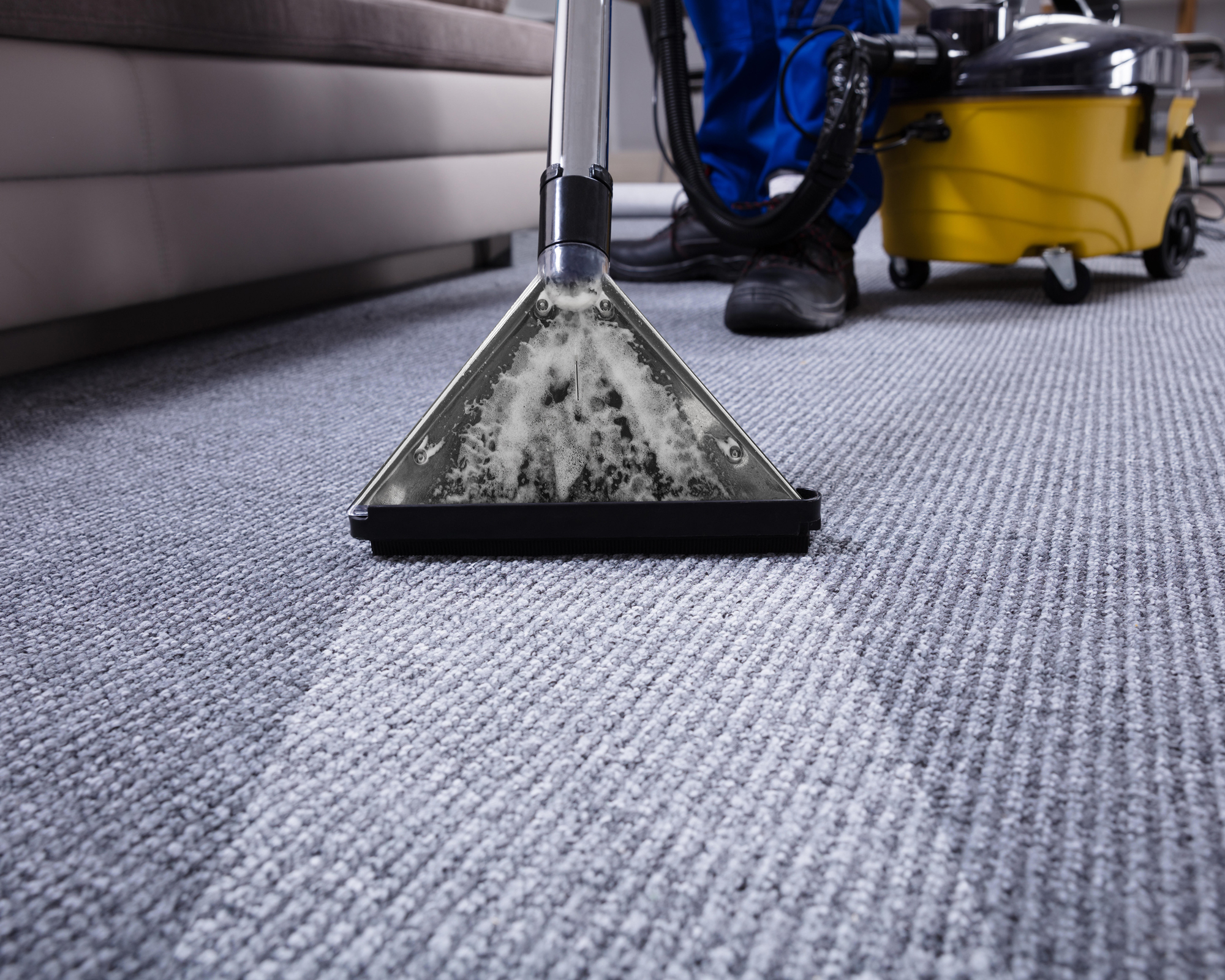 How Much Does It Cost To Rent A Carpet Cleaner