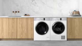 washing machine and tumble dryer in kitchen