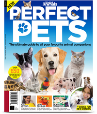 Perfect Pets: $11.99 at Magazines Direct