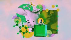 Photo collage of a man spraying deodorant, a cologne bottle, vanillin and ammonia molecules