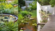 composite shot for front yard pond ideas