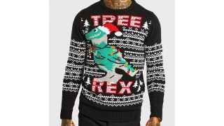 Best Christmas jumpers illustrated by a jumper featuring a dinosaur wearing a santa hat and the type Tree Rex