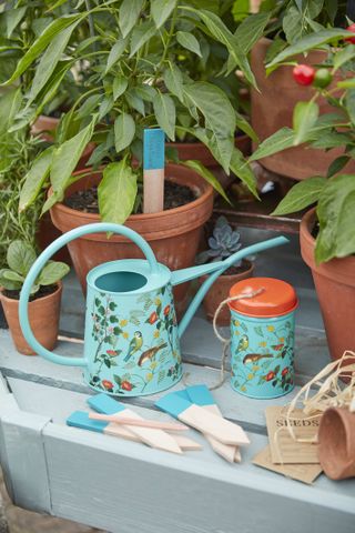 pretty watering can