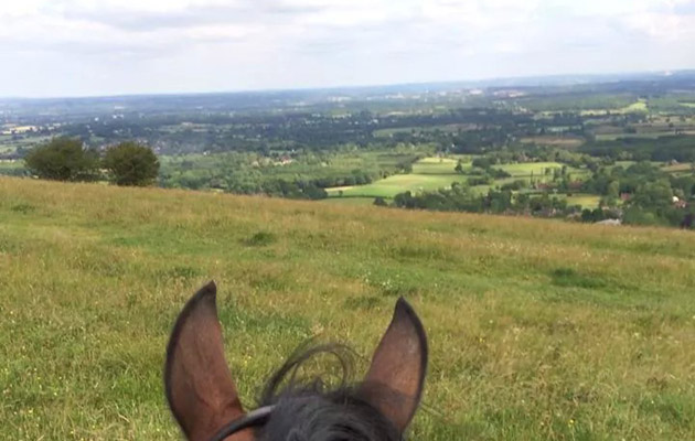 RubyWelshCob
