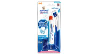 Nylabone Advanced Oral Care Dental Kits for Dogs