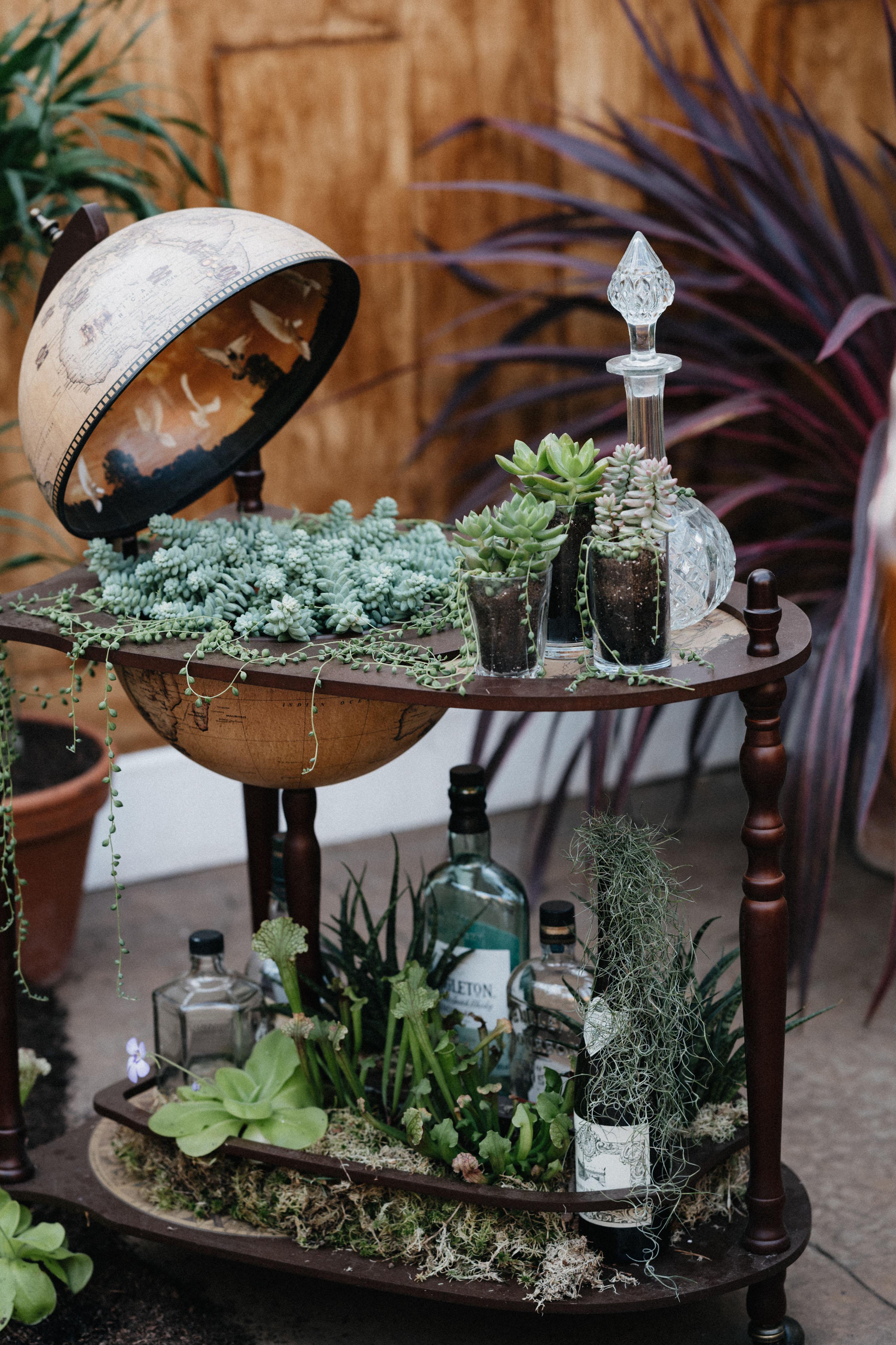 indoor garden ideas: bar surrounded by succulent plants