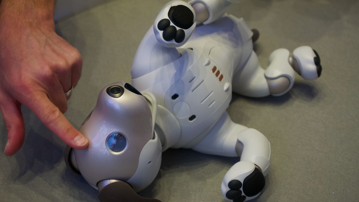 Hands on Sony Aibo review TechRadar