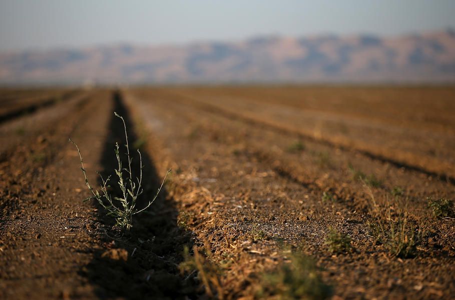 Scientists say Southwestern U.S. now faces 50 percent chance of decades-long &amp;#039;megadrought&amp;#039;