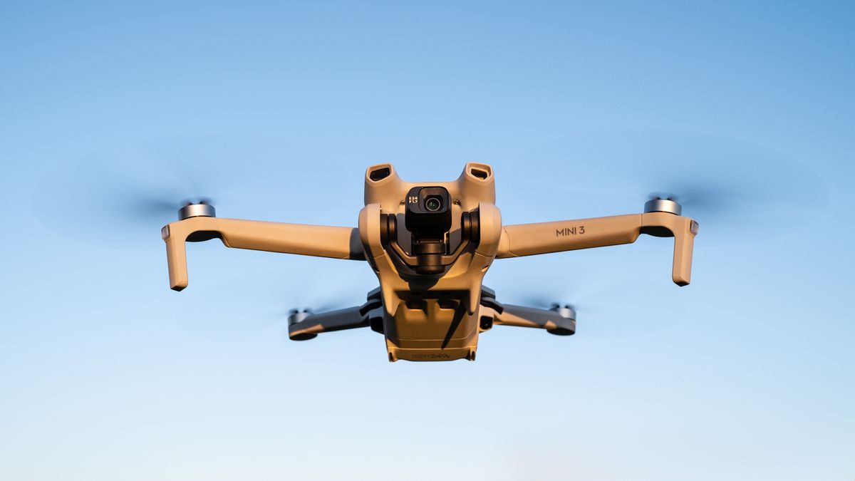 DJI Mini SE drone review: A brilliant drone for beginners