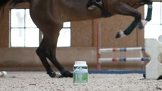 Audevard tendon supplement
