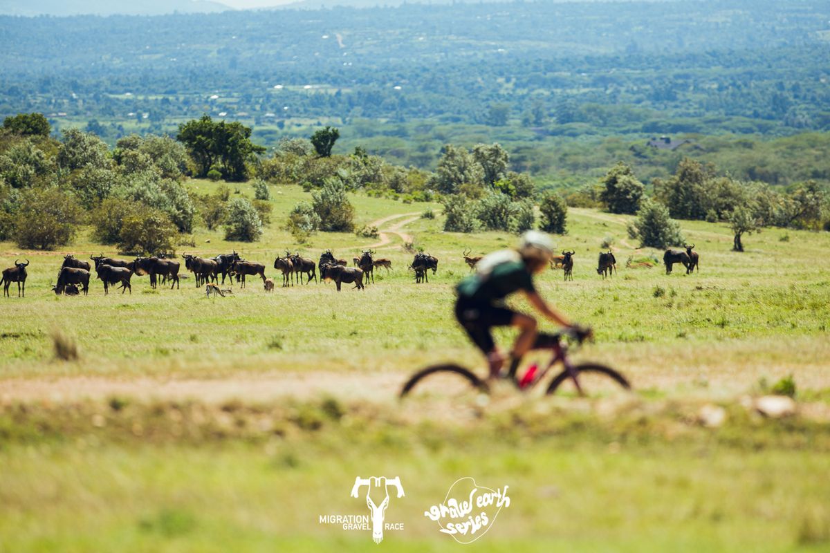 Wildlife was prolific on the stages of the 2024 Migration Gravel Race across Massai Mara