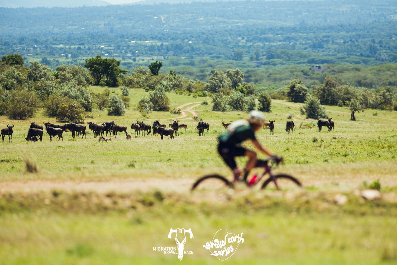 Wildlife was prolific on the stages of the 2024 Migration Gravel Race across Massai Mara