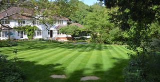 backyard with sprawling garden lawn to show how often y ou should fertilize your lawn
