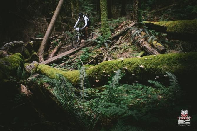 The trail turns downward and manmade features meld into the lush green forest