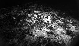 The Benthic Rover’s fluorescence imaging system highlights chlorophyll-rich marine snow, which glows under the rover's special lights.